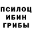 Псилоцибиновые грибы Magic Shrooms It's Kaori