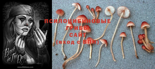 тгк Богородицк
