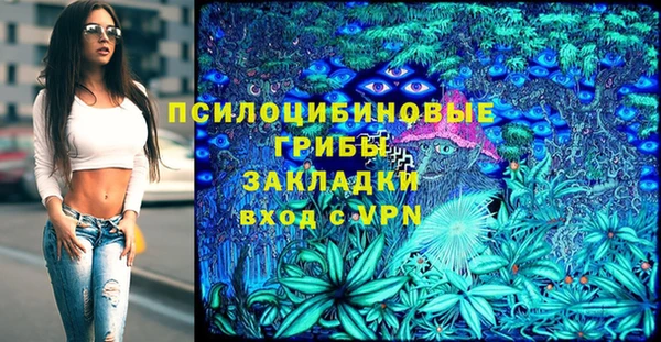 тгк Богородицк