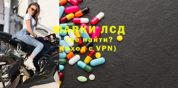дмт Богданович