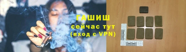 дмт Богданович