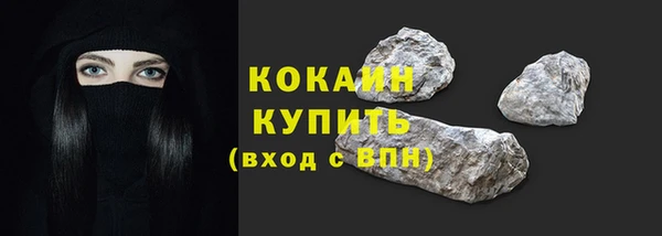 дмт Богданович