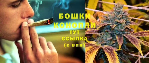 дмт Богданович