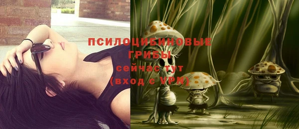 дмт Богданович