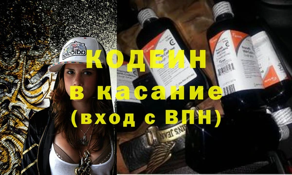 дмт Богданович